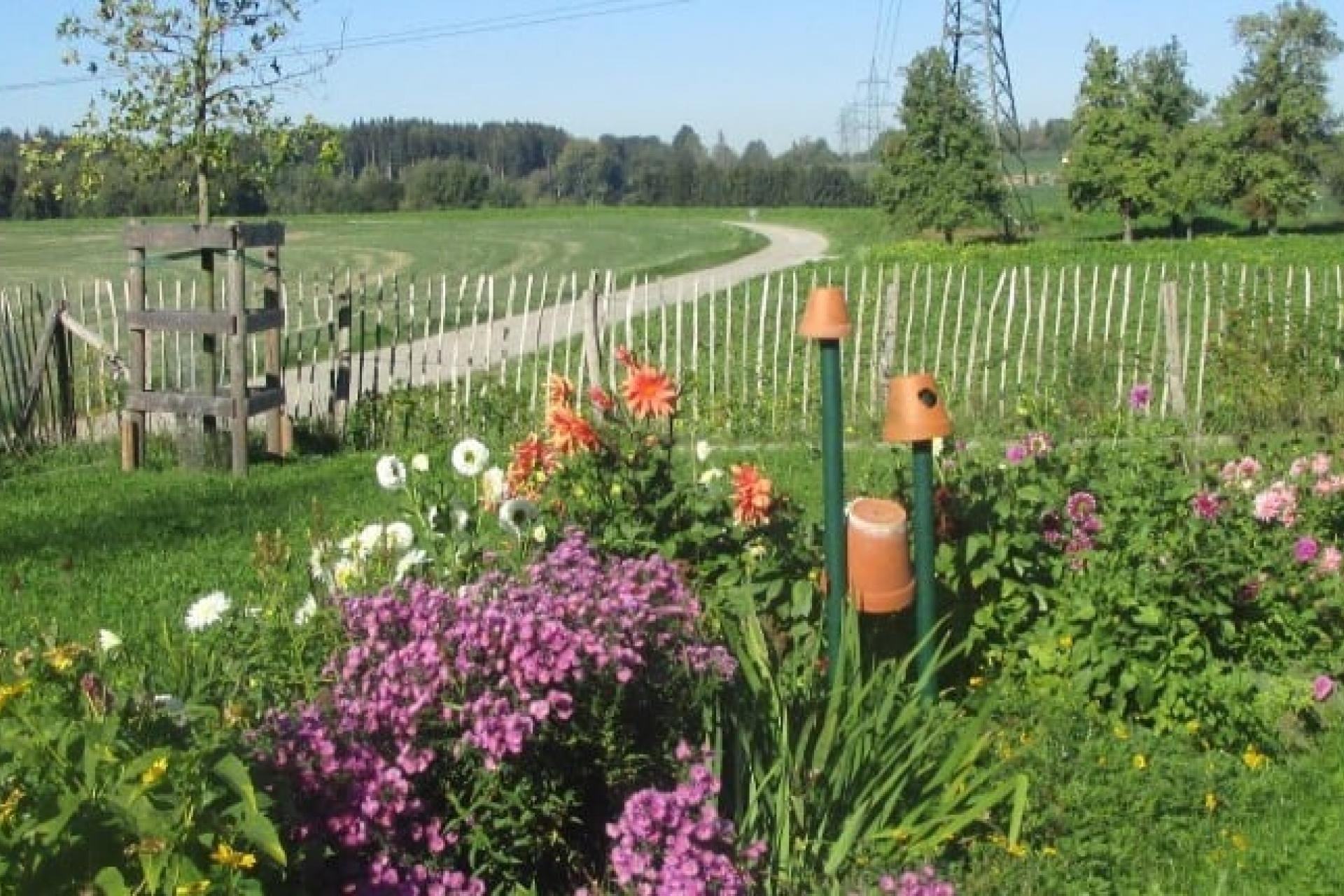 Natur im Garten
