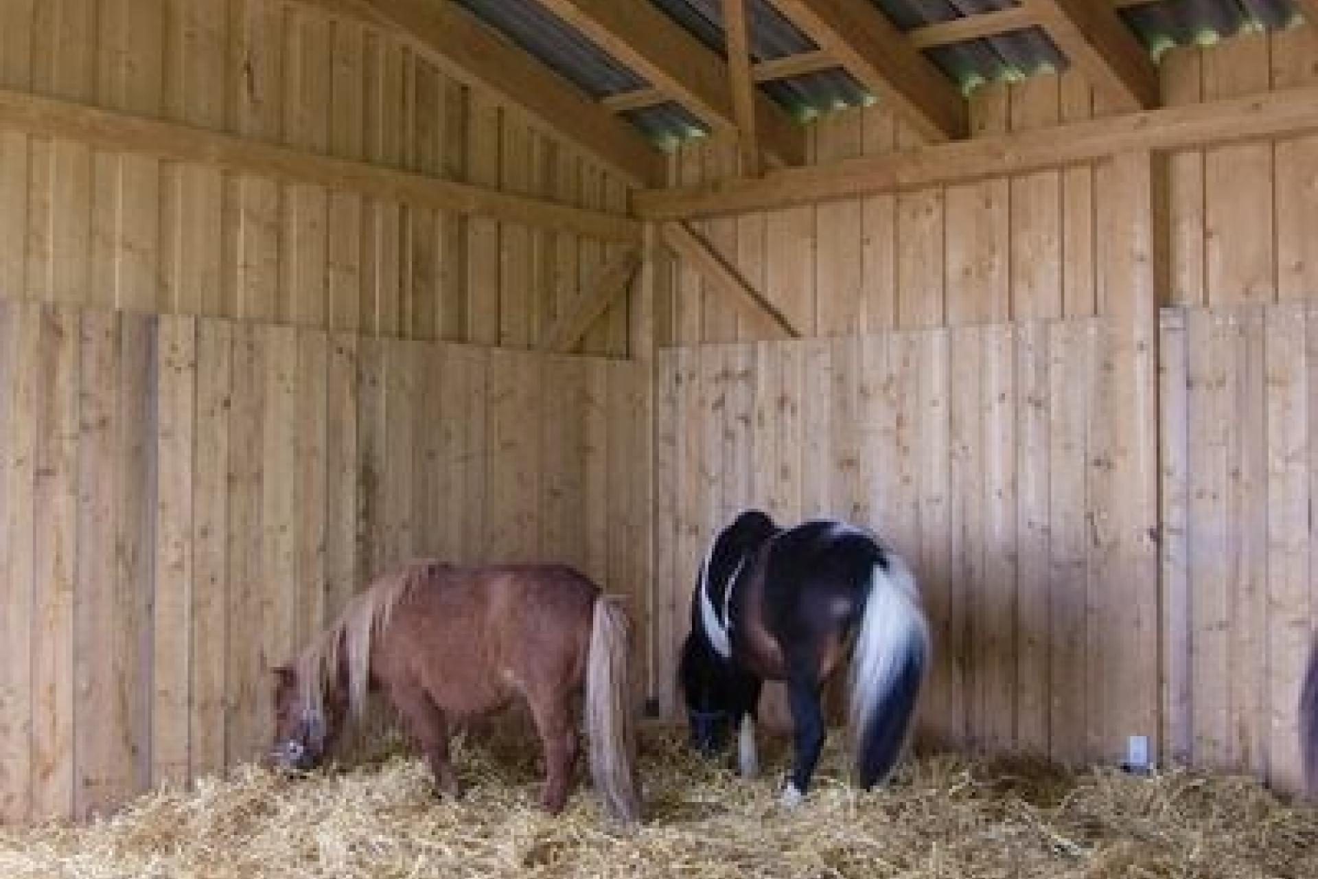 Unterstand für Tiere