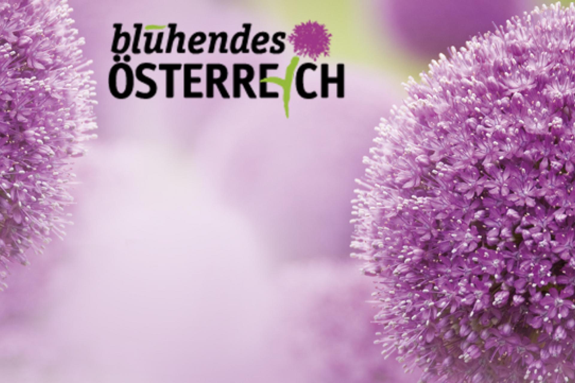 Blühendes Österreich