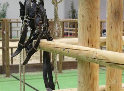 Koppeln und Paddocks Seite