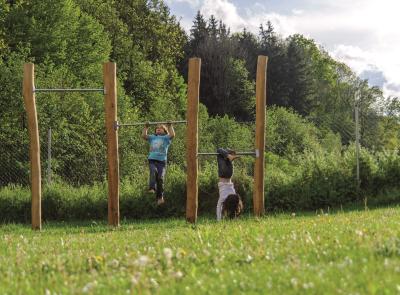 Reckkombination ROBINIE