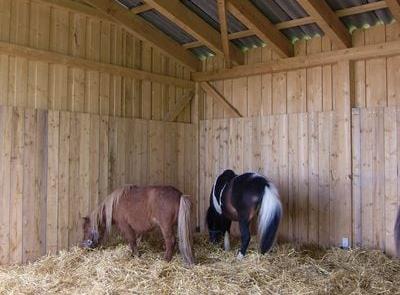 Unterstand für Tiere
