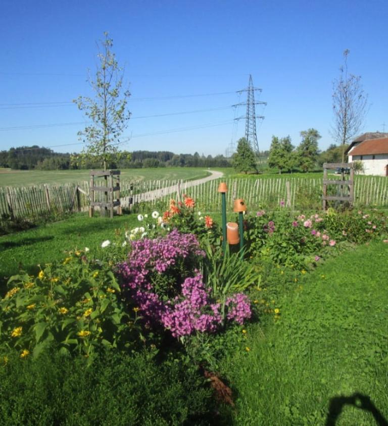 Natur im Garten
