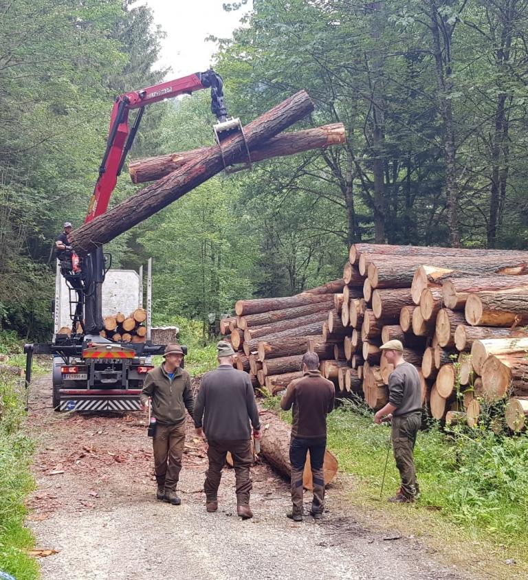 Holzbeschaffung SilberHolz