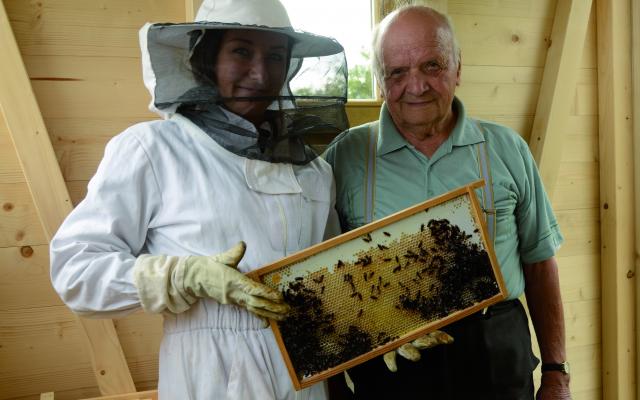Arbeit in der Bienenhütte
