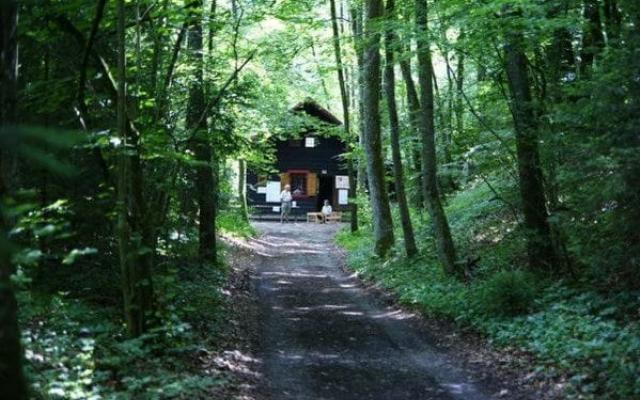 Naturkinder Waldhaus