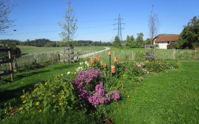Natur im Garten