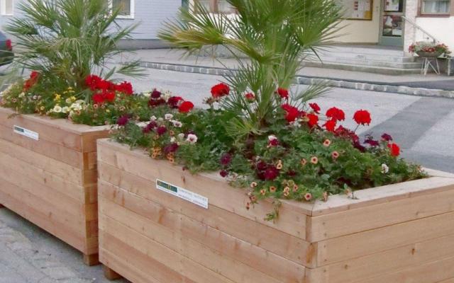 Hochbeet Ausschnitt