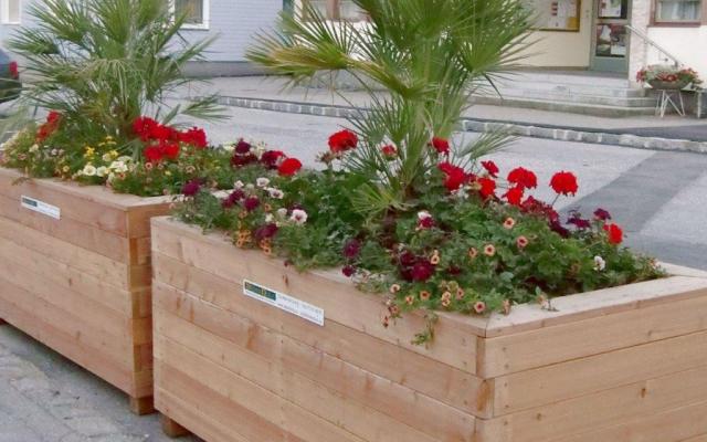 Hochbeet Ausschnitt