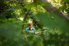Kinder im Wald