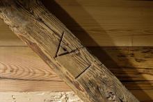 Altholz Detail