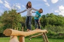 Balancierbalken ROBINIE