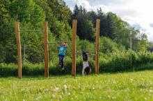 RECK KOMBINATION ROBINIE