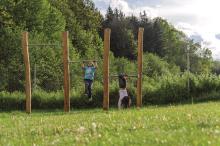 Reckkombination ROBINIE