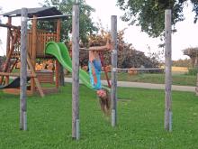 Reckkombination LÄRCHE