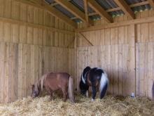 Unterstand für Tiere