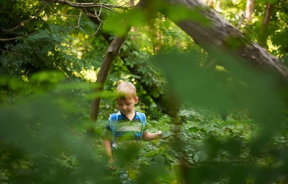 Kinder im Wald