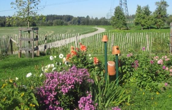 Natur im Garten