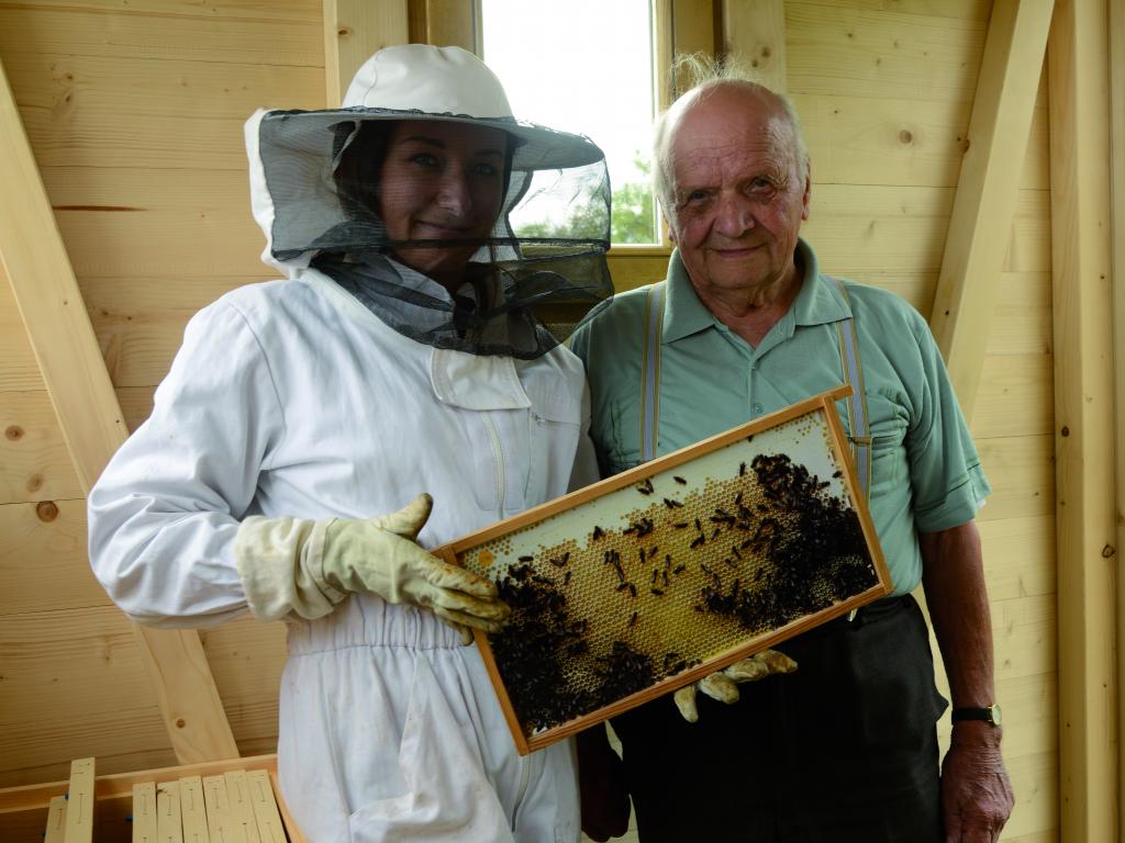 Arbeiten an der Bienenhütte