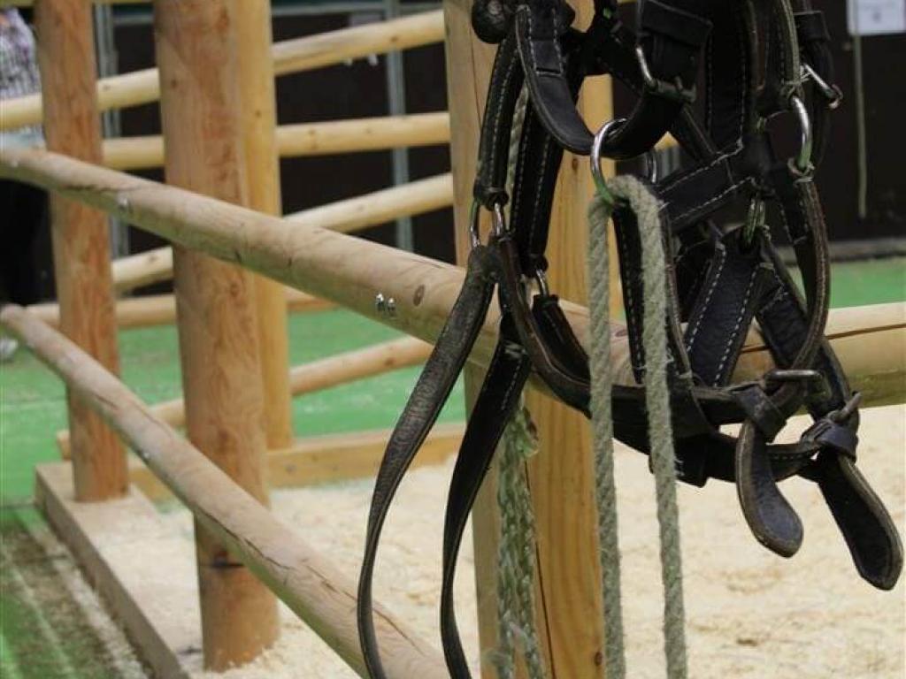 Koppeln und Paddocks Detail