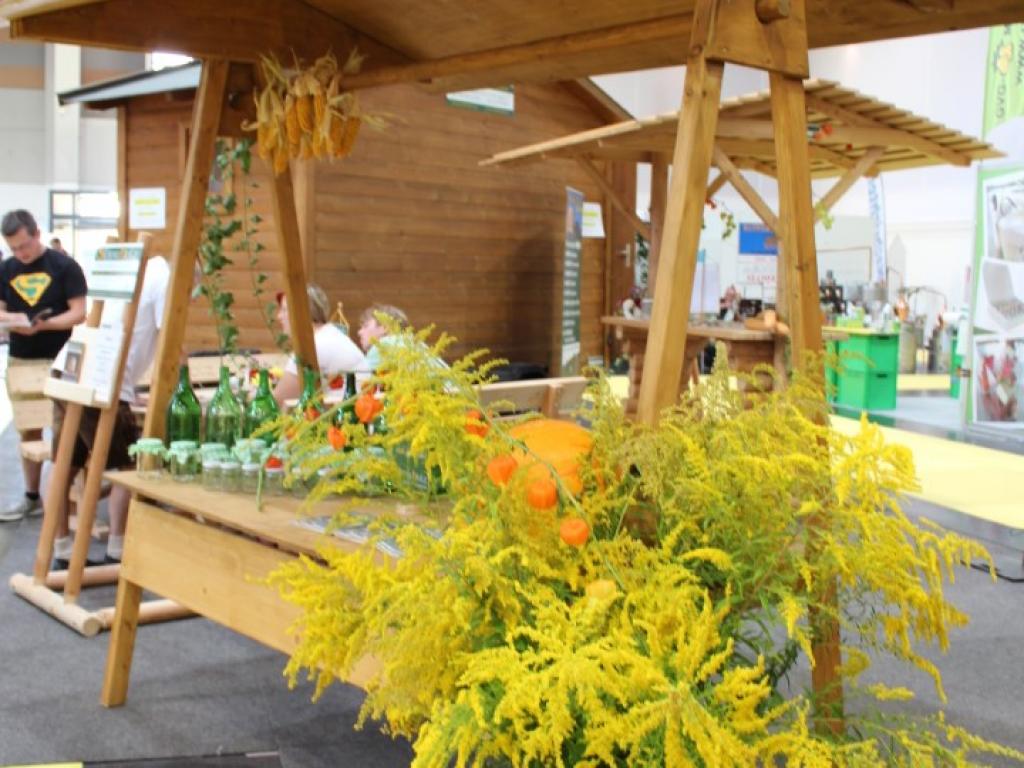 Marktstand Modell Offenhausen