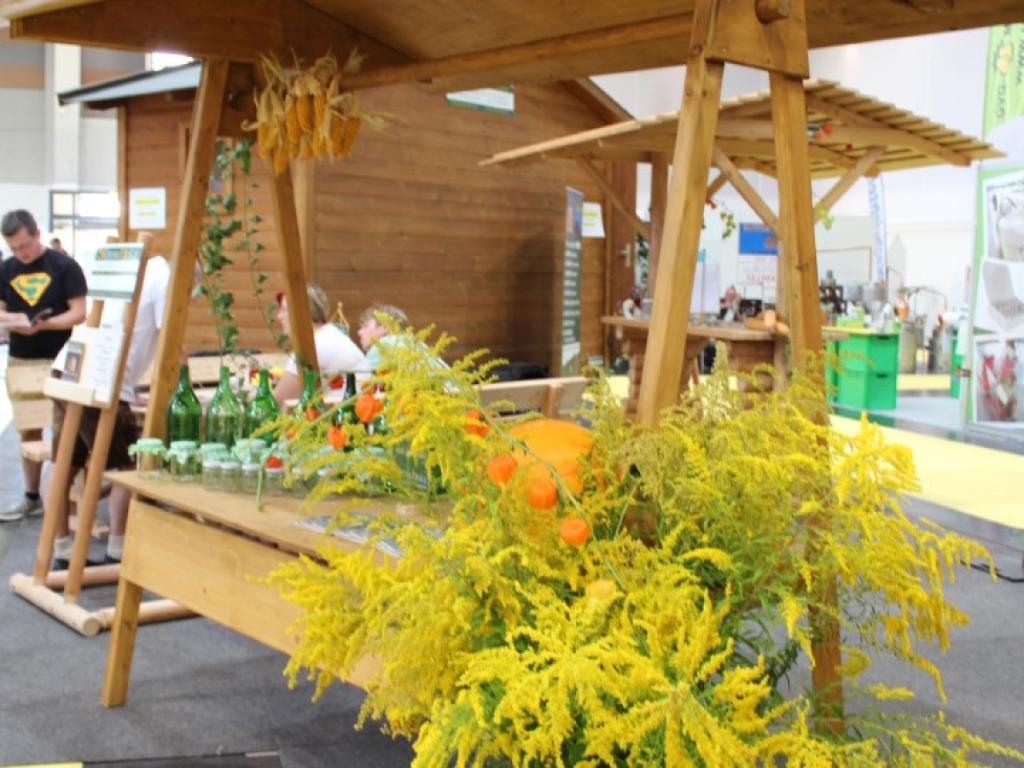 Marktstand Modell Offenhausen
