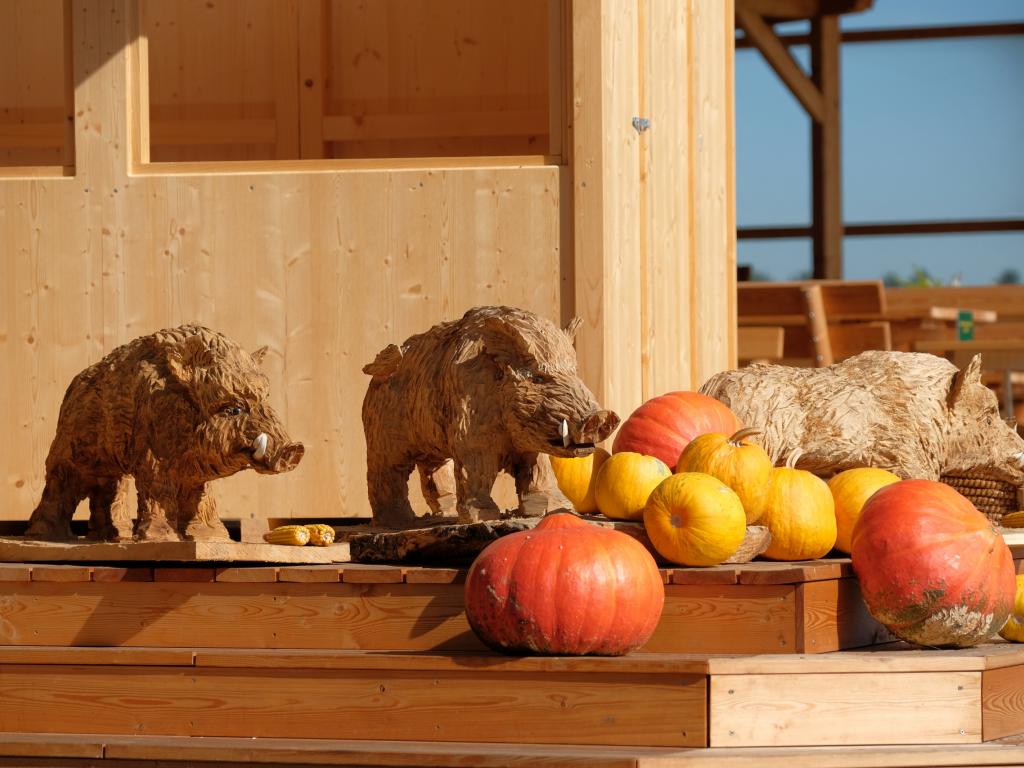 Wildschwein