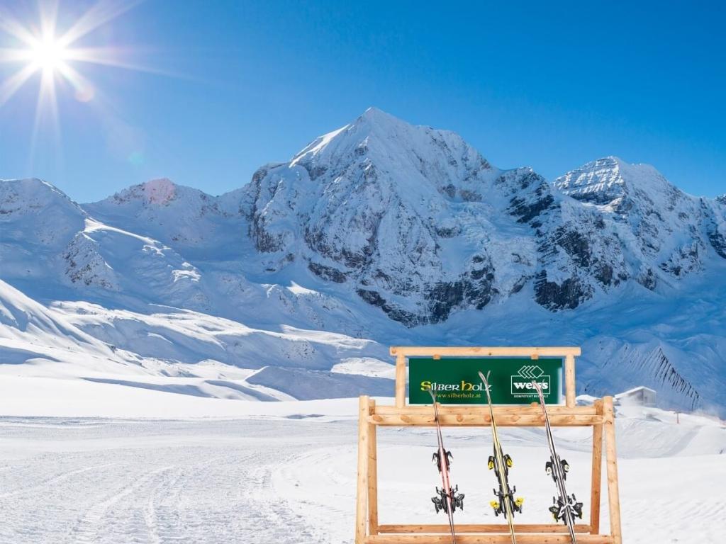 Skiständer