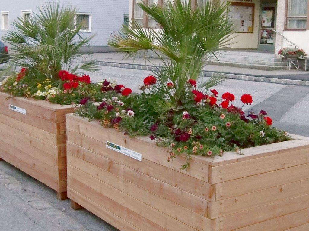 Hochbeet Ausschnitt