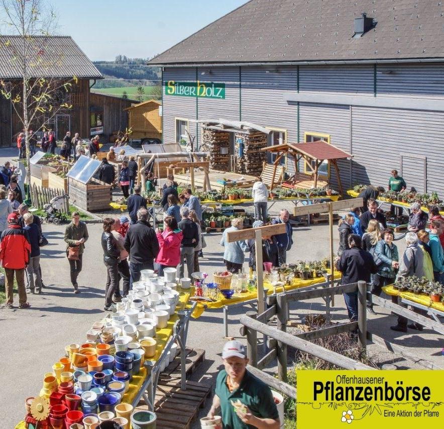 Offenhausner Pflanzenbörse